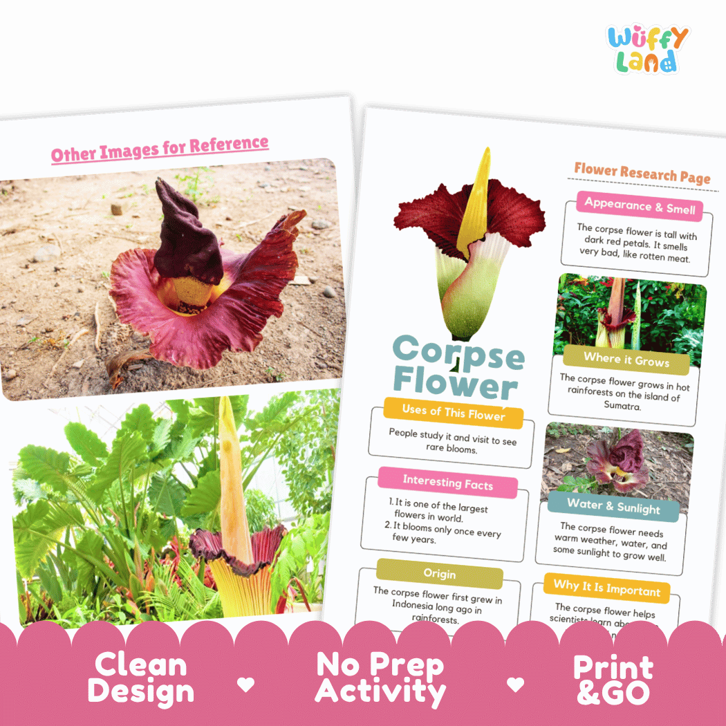 Corpse Flower Plant Research Page and Worksheets Print and Go Activity