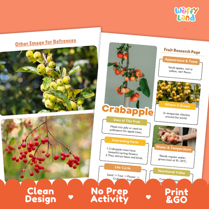 Crabapple Fruit Research Page Worksheets and Fact Sheet