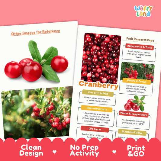 Cranberry Fruit Research Page Worksheet Activity | Science Healthy Eating
