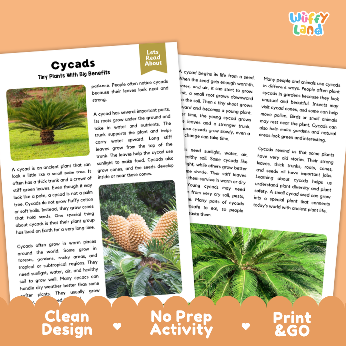 Cycad Plant Reading Passages and Comprehension Questions Worksheets
