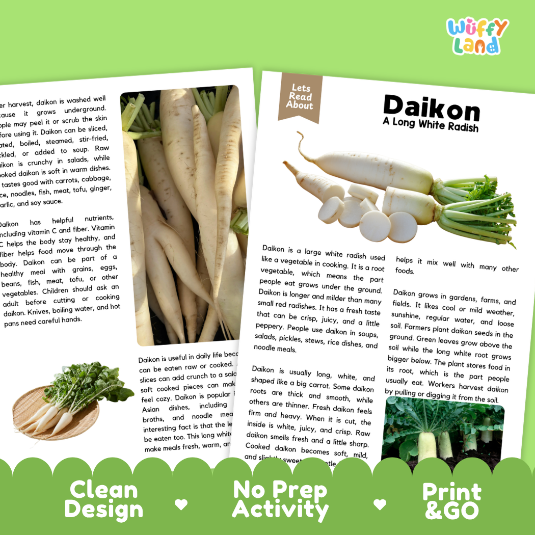 Teacher answer key page showing complete question solutions for daikon reading comprehension practice