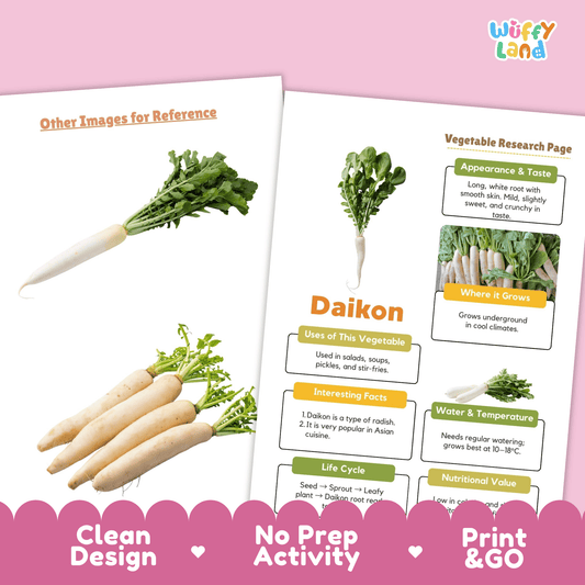Daikon Radish Research Activity Worksheet Science Vegetable Asian Food RootPlant