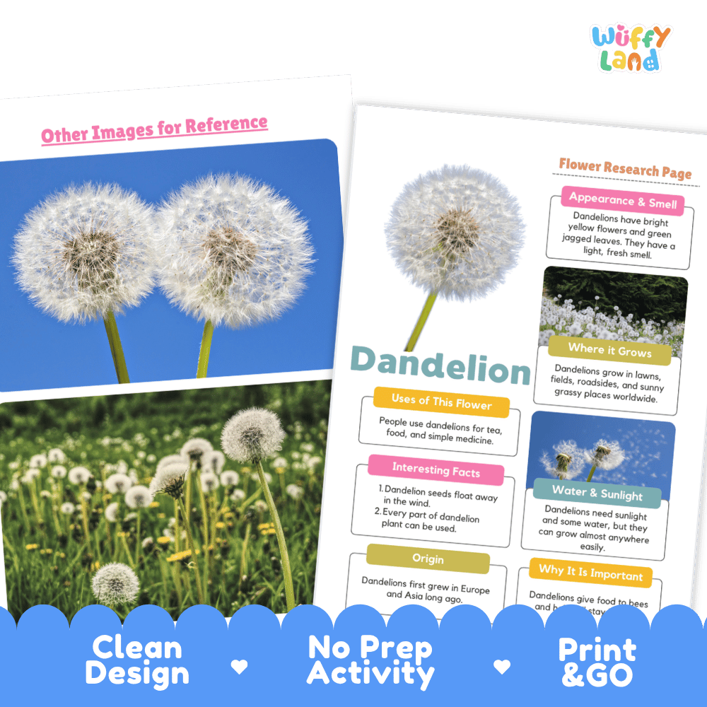 Dandelion Plant Research Page and Worksheets Print and Go Activity