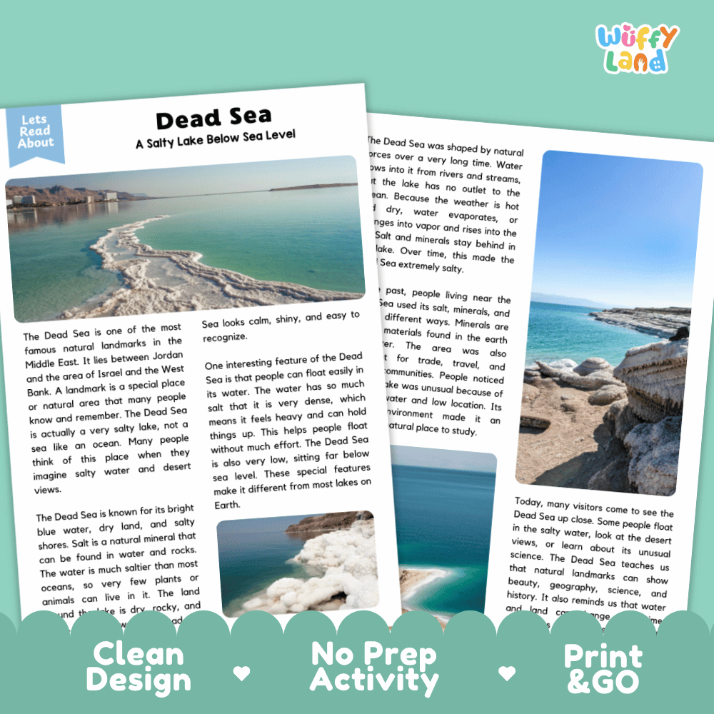Dead Sea Landmark Reading Passages and Comprehension Worksheets