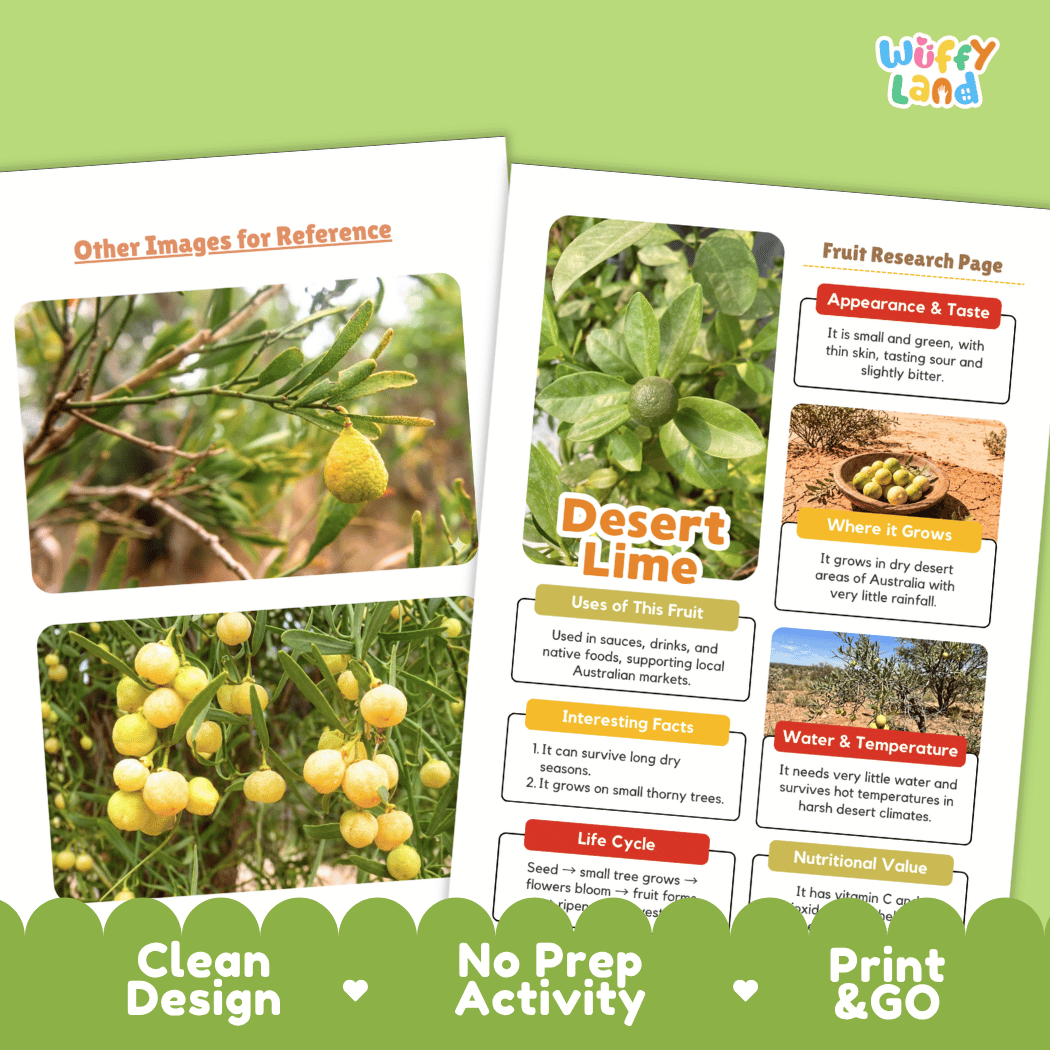 Desert Lime Fruit Research Page Worksheets and Fact Sheet
