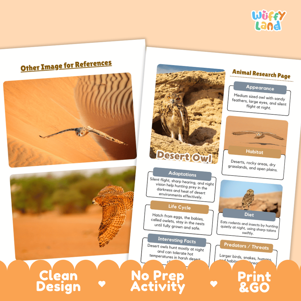 Desert Owl Animal Research Page and Worksheets