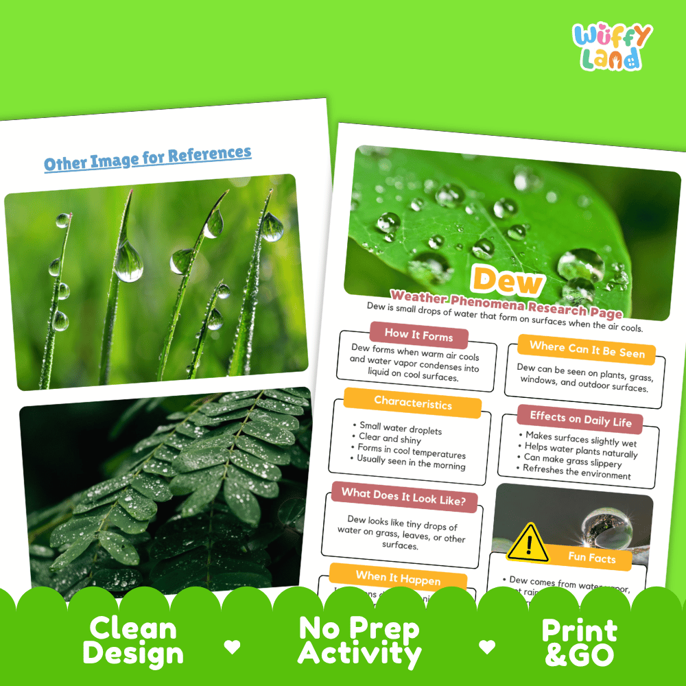 Dew Weather Phenomena Research Worksheets and Informational Fact Sheets