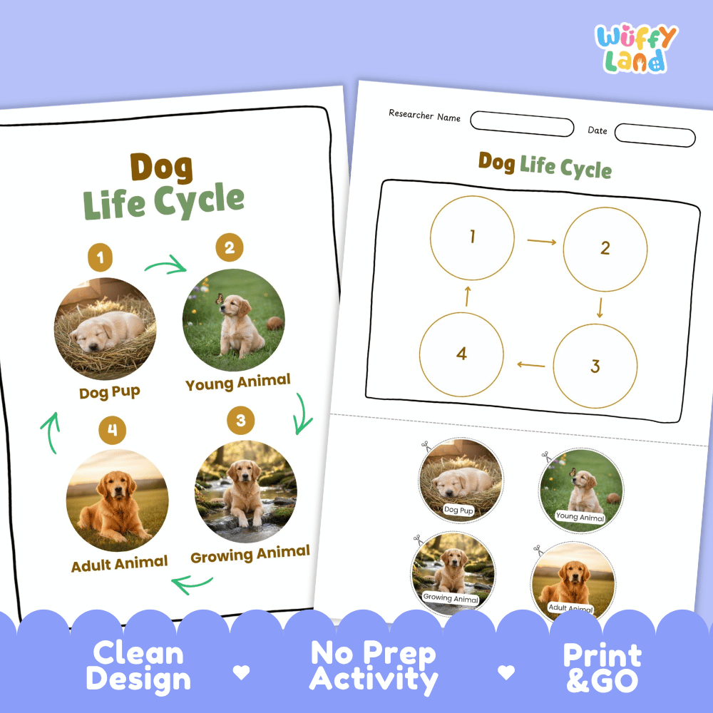 Dog Life Cycle Poster and Cut and Paste Activity Worksheets