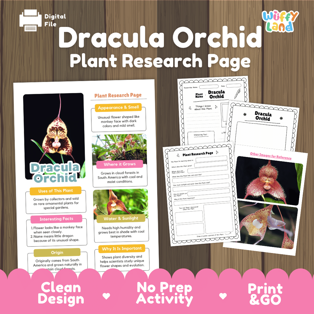Student plant research page writing worksheets with real close up monkey-faced dracula orchid blossoms and mossy epiphytic plant photos, lined note-taking prompts, and drawing frames