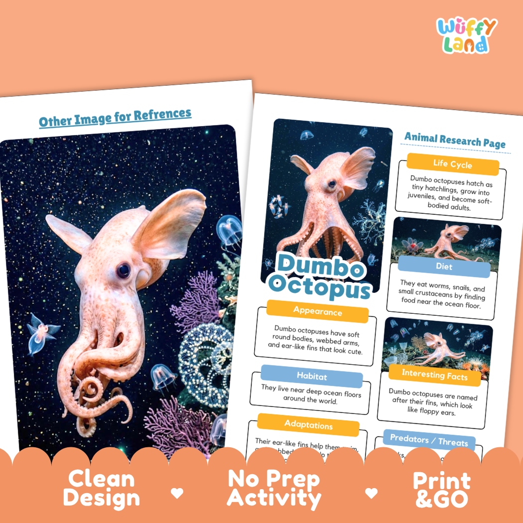 Two educational activity sheets from Wiffly Land about Dumbo the Octopus, shown on a peach background with a decorative orange banner at the bottom. The left sheet features a large illustration of Dumbo on a dark starry ocean background, and the right sheet shows labeled sections for animal research including life cycle, appearance, habitat, diet, and interesting facts.