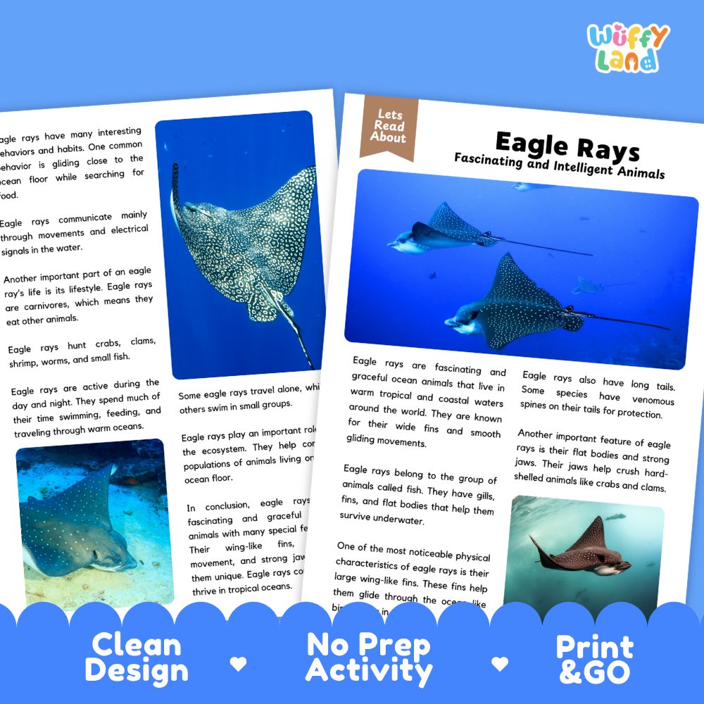 Two educational activity sheets about eagle rays from 'Lets Read About' by 'Wiffy Land', featuring colorful illustrations of eagle rays, a blue whale, and a shark, with text prompts and feature badges at the bottom.