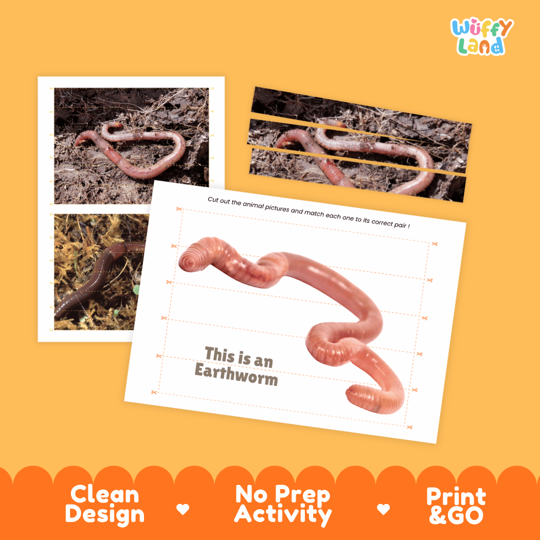 Earthworm Cut and Match Activity Printables Worksheets