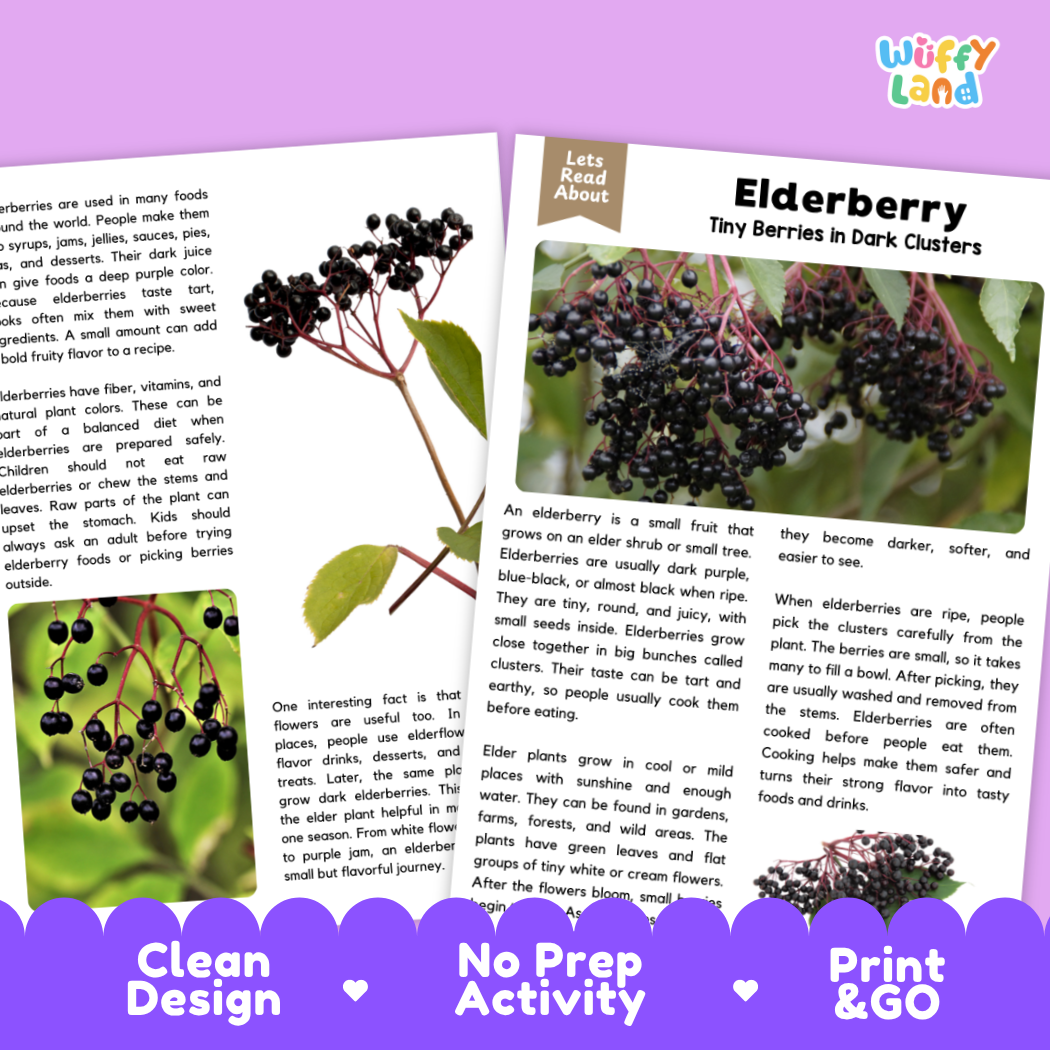 Teacher answer key page showing complete question solutions for elderberry reading comprehension practice