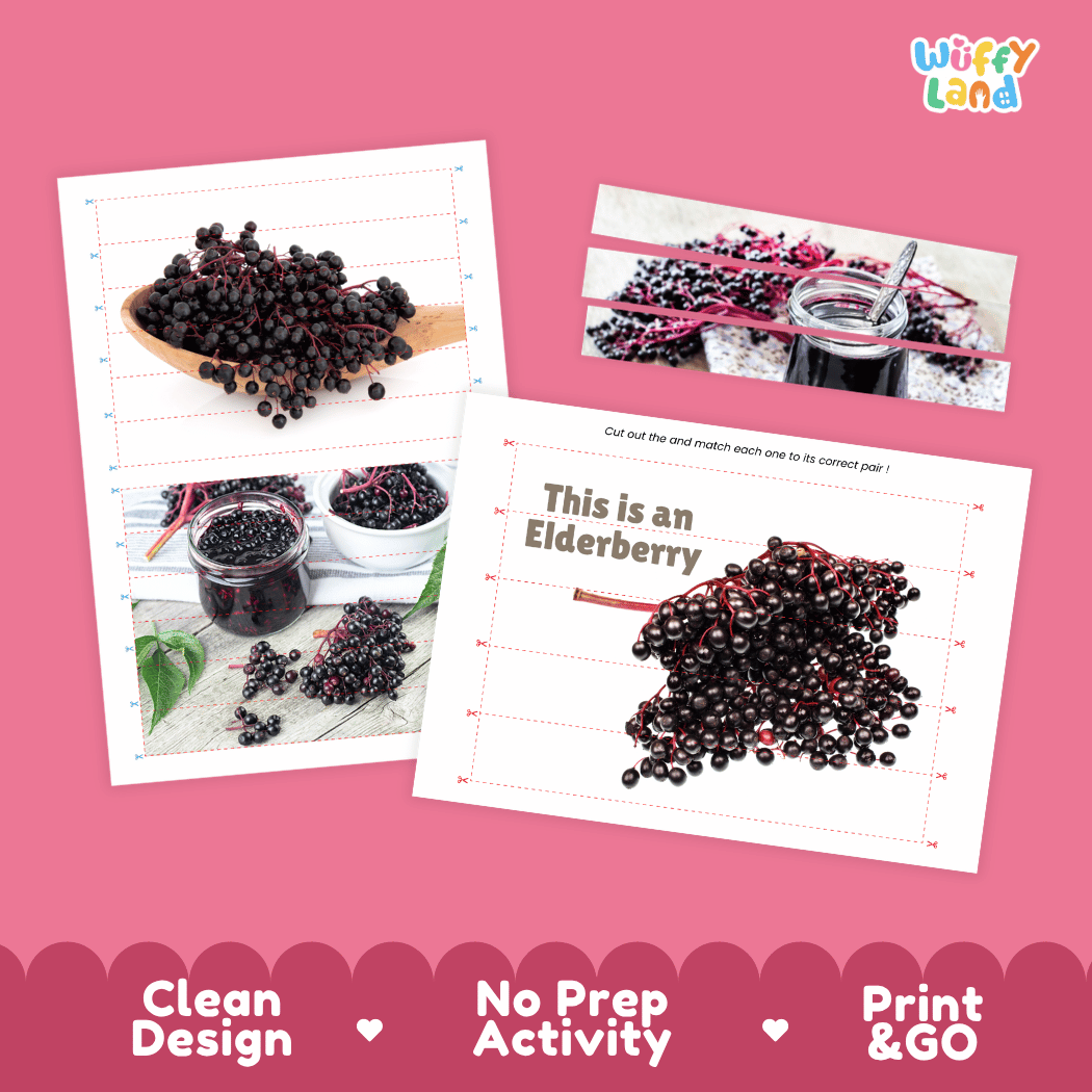 Elderberry Cut and Match Activity Worksheets | Nuts and Dried Fruits Puzzle Printables