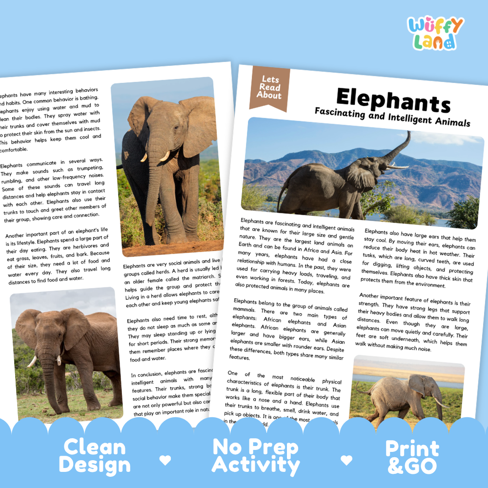 A children's educational activity book cover titled 'Elephants Fascinating and Intelligent Animals' by Letts Read About, displayed on a white background with two smaller inset previews showing the inside layout. The main cover features a photo of an elephant and the text 'Print & Go'.
