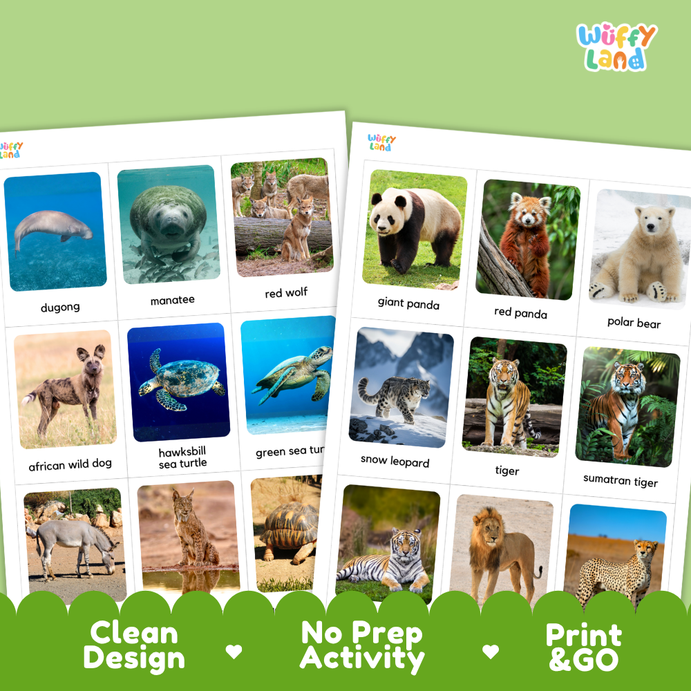 Endangered Animals Flashcards Printable Wildlife Conservation Cards for Early Elementary