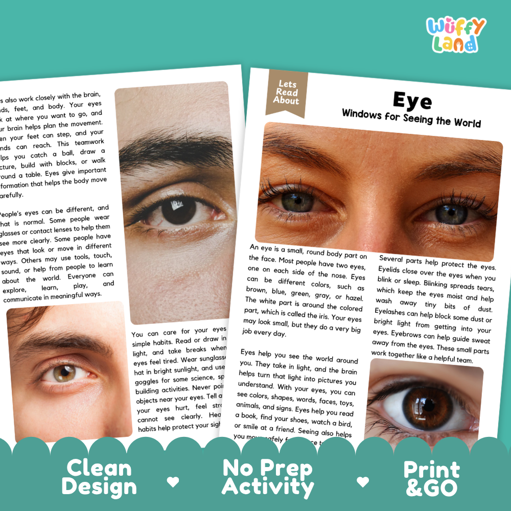 Teacher answer key page showing complete question solutions for Eye human body reading comprehension practice