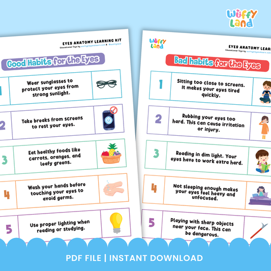 Printable eyes learning kit for kids featuring eye anatomy diagrams, labeling worksheets, good and bad food for eye health activities, healthy eye habits pages, and cut-and-paste exercises, designed for elementary science and health lessons.