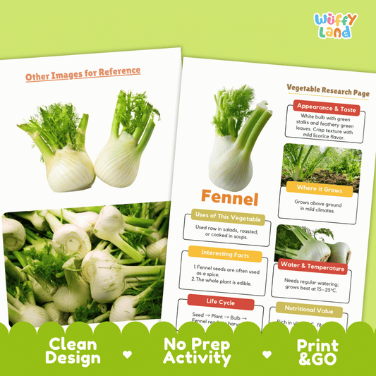 Fennel Vegetable Research Activity Worksheet Science Plant Parts Healthy Eating
