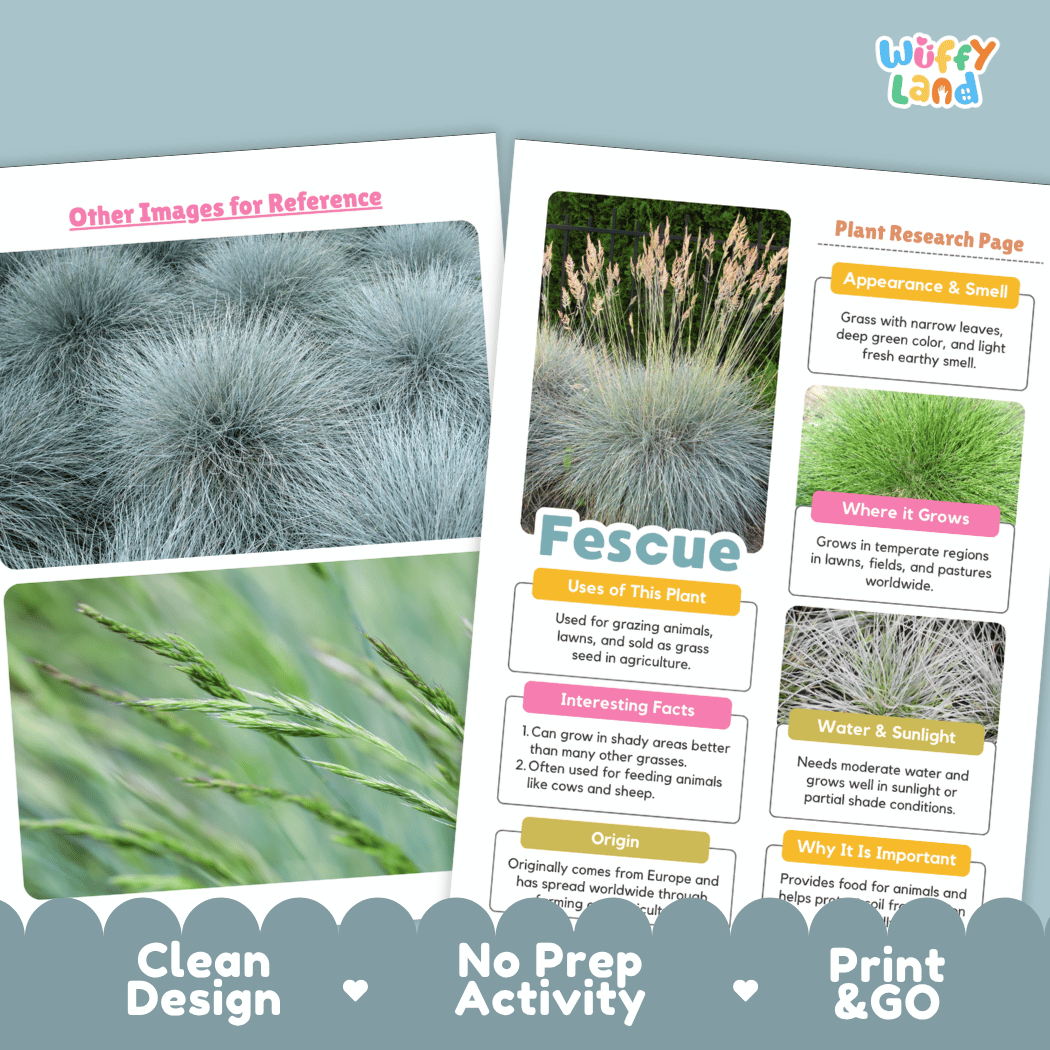 Fescue Plant Research Page Worksheets and Fact Sheet