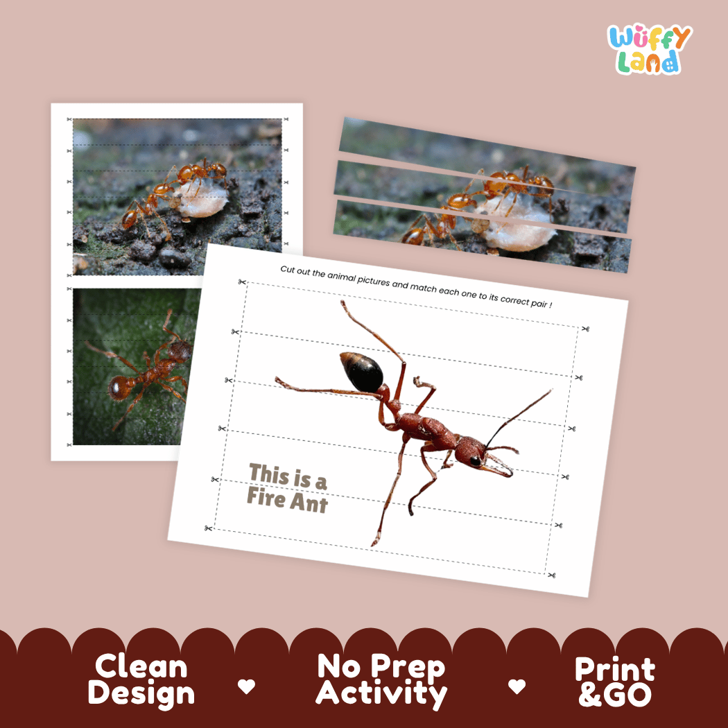 Fire Ant Cut and Match Activity Printables Worksheets