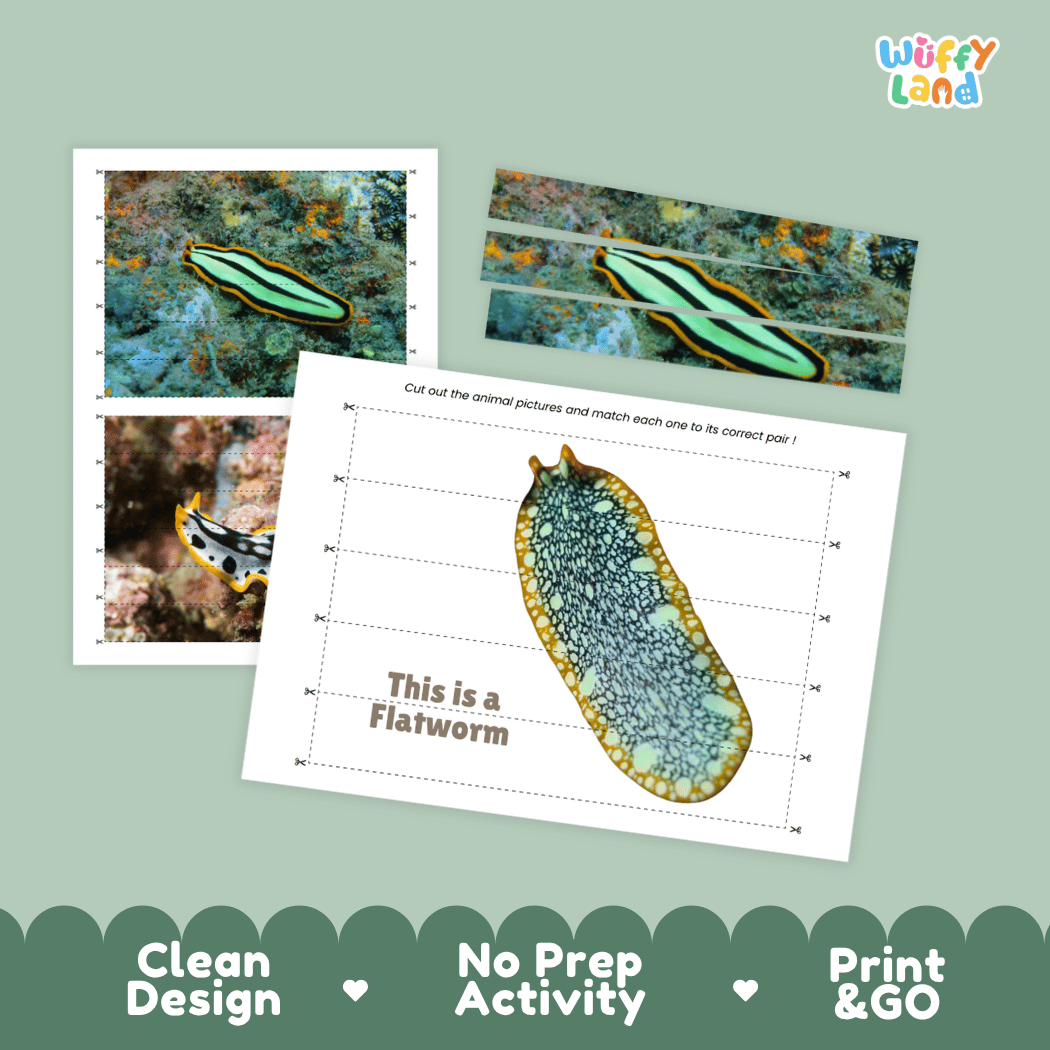 Flatworm Cut and Match Activity Printables Worksheets