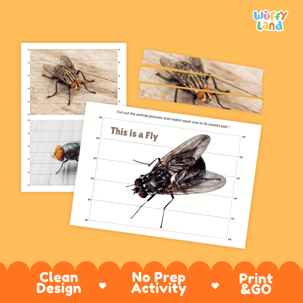 Fly Cut and Match Activity Printables Worksheets