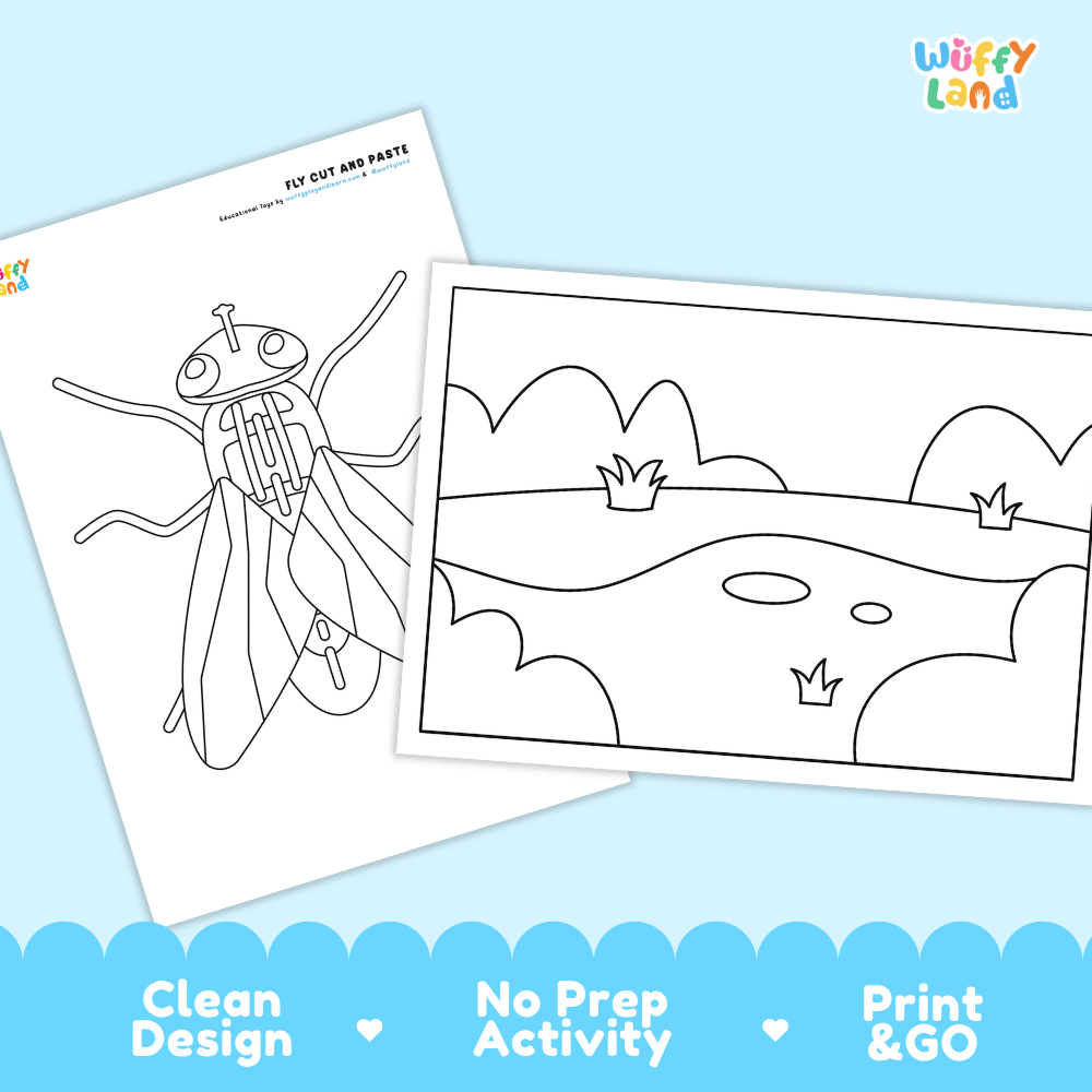 Fly Cut and Paste and Coloring Activity Worksheets