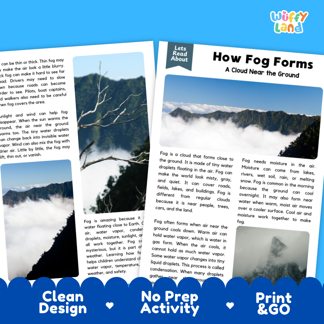 Complete teacher answer key worksheet providing detailed model responses for fog comprehension questions