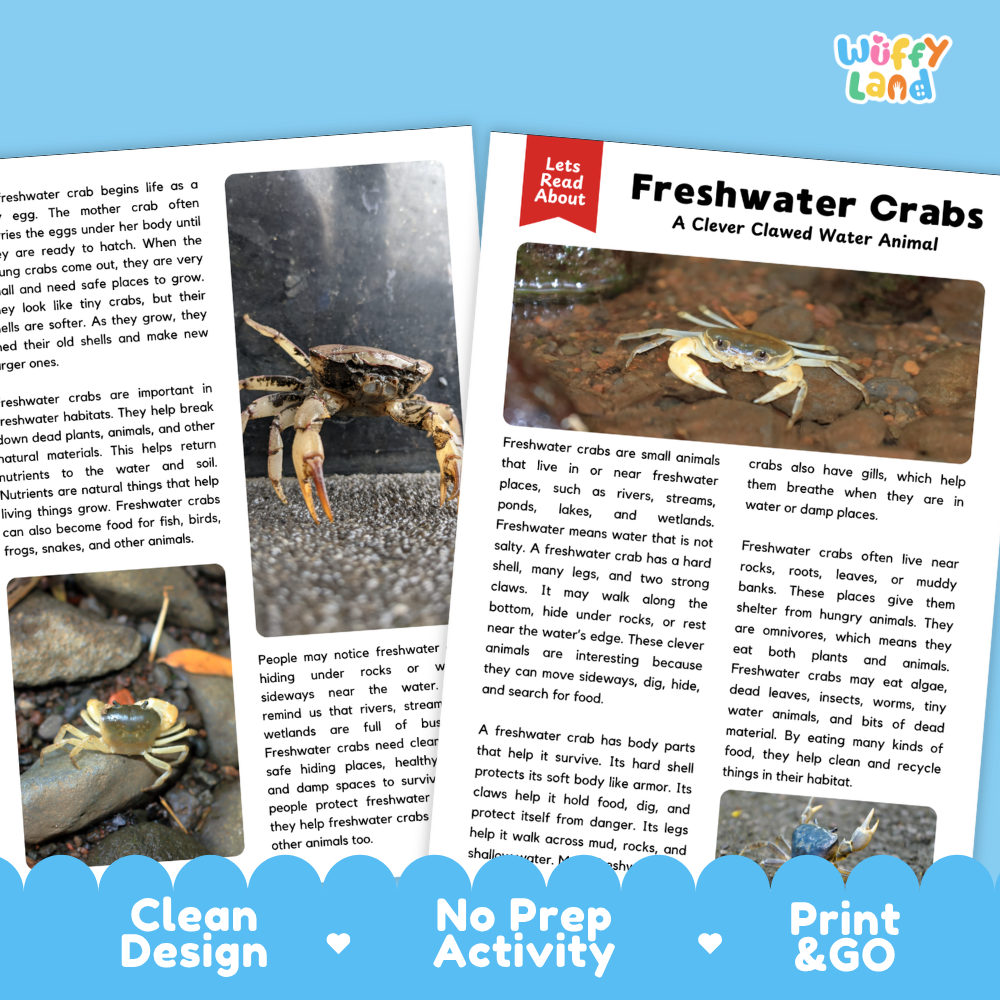 Two printed educational activity sheets about freshwater crabs on a white background, with a small photo of a freshwater crab and text including 'Let's Read About' and 'Freshwater Crabs A Clever Clawed Water Animal.'.