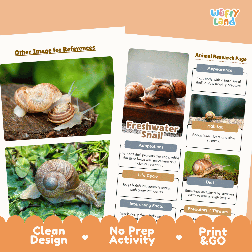 Freshwater Snail Animal Research Page Worksheets