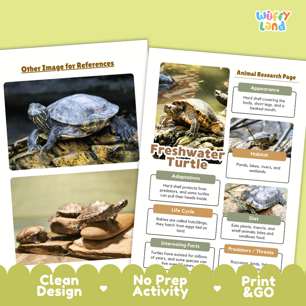 Freshwater Turtle Animal Research Page Worksheets