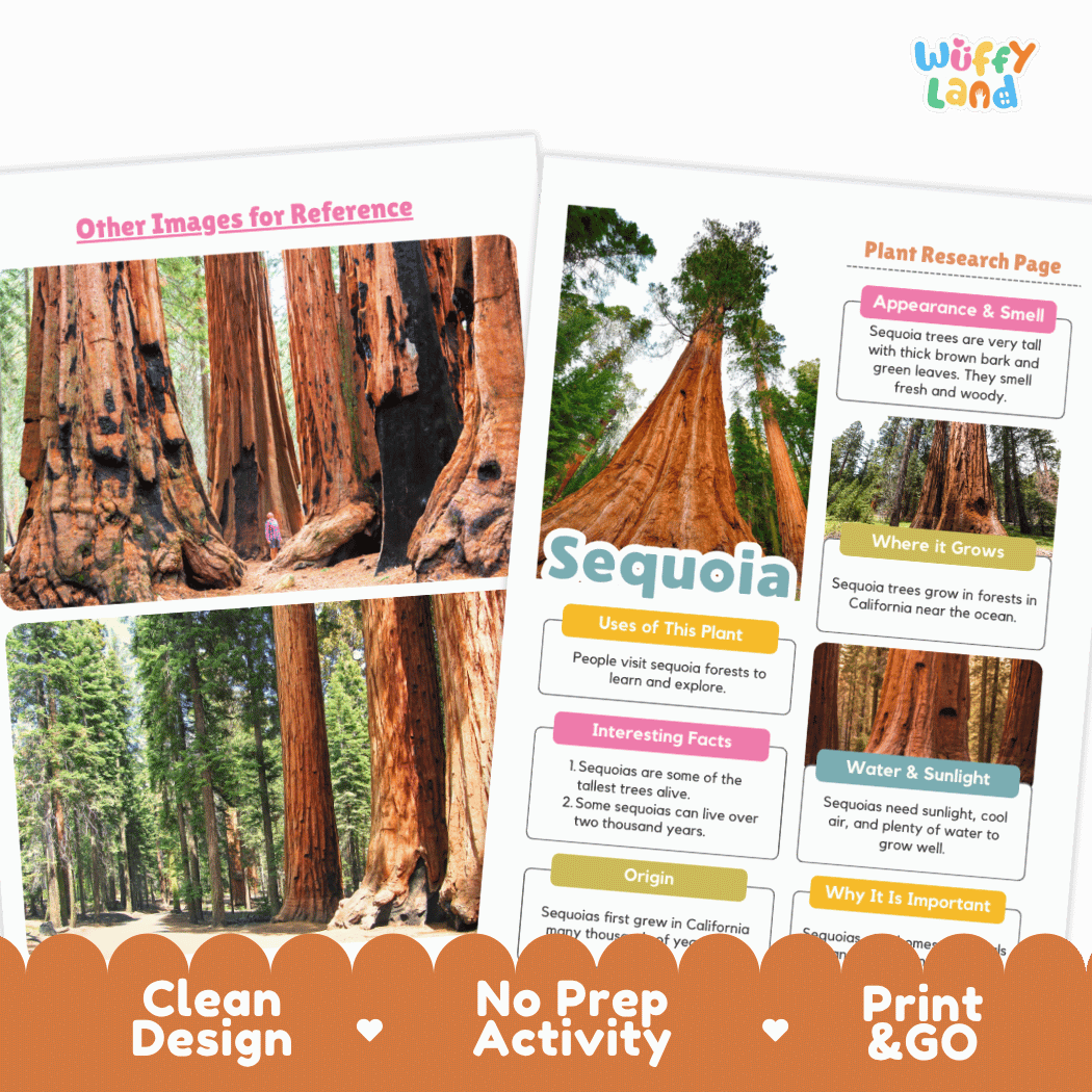 Giant Sequoia Plant Research Page and Worksheets Print and Go Activity