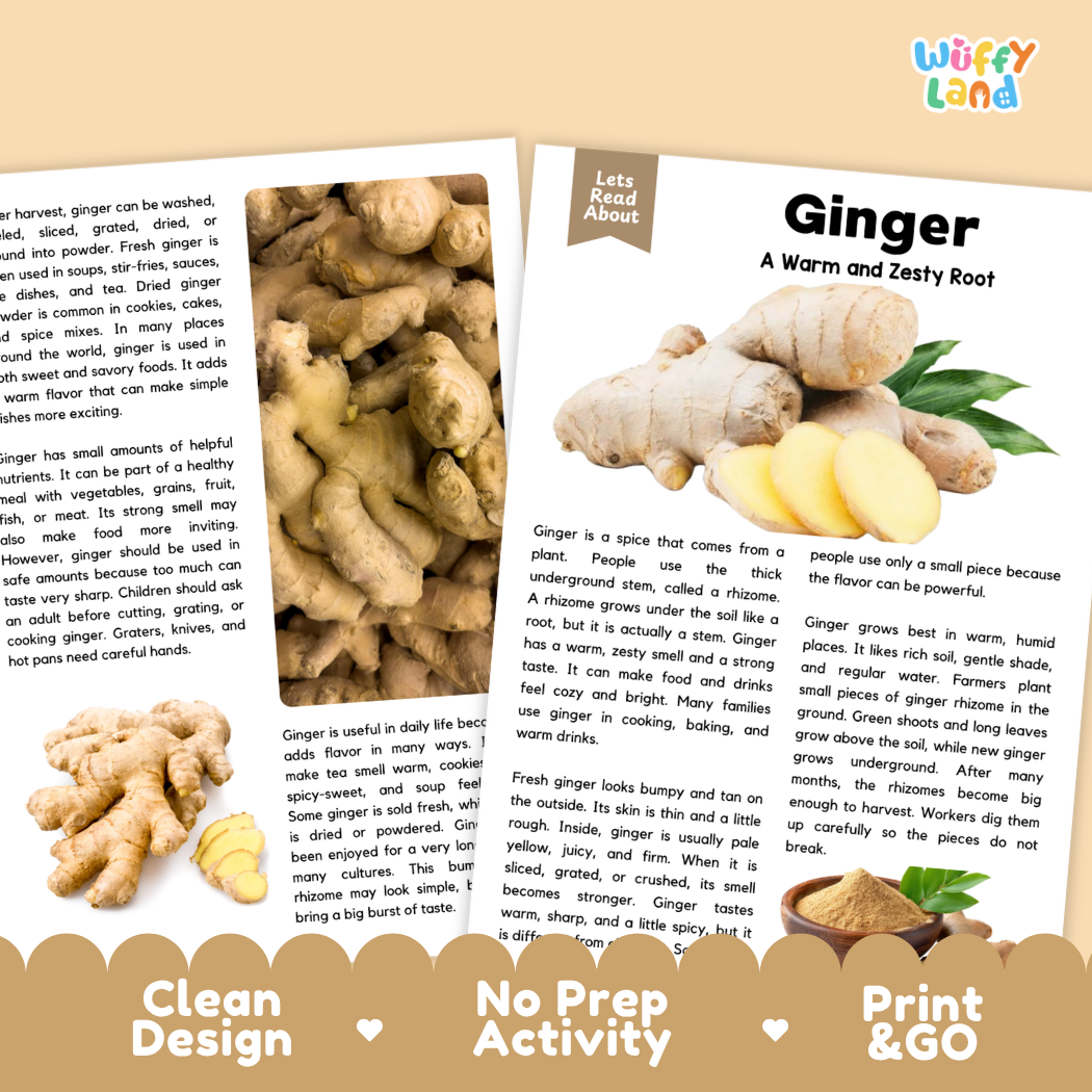 Teacher answer key page showing complete question solutions for ginger reading comprehension practice