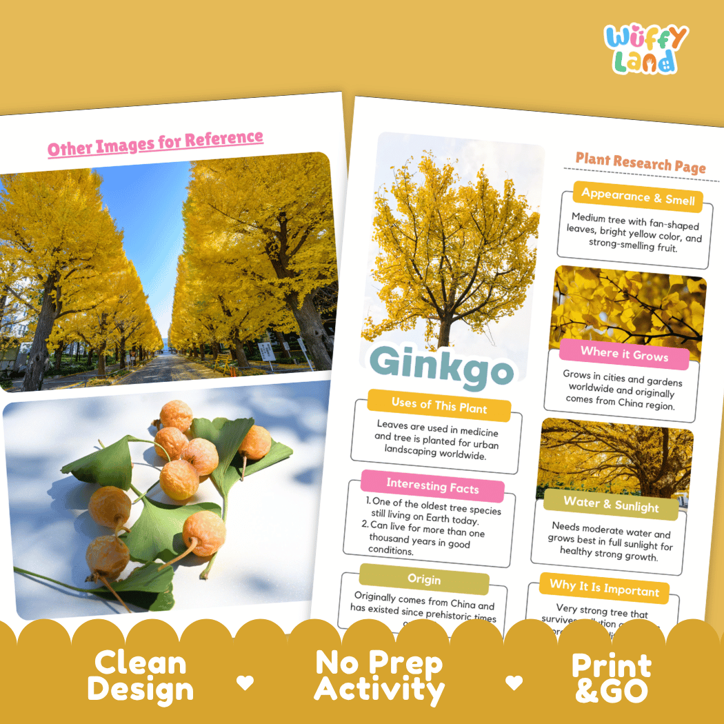 Ginkgo Plant Research Page Worksheets and Fact Sheet