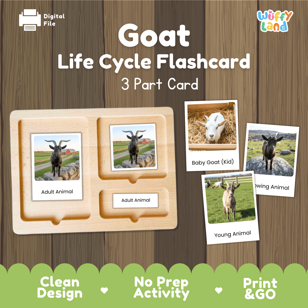 Montessori 3-part photo cards for goat life cycle shown on wooden tray paired with animal research report worksheets and reference photo page