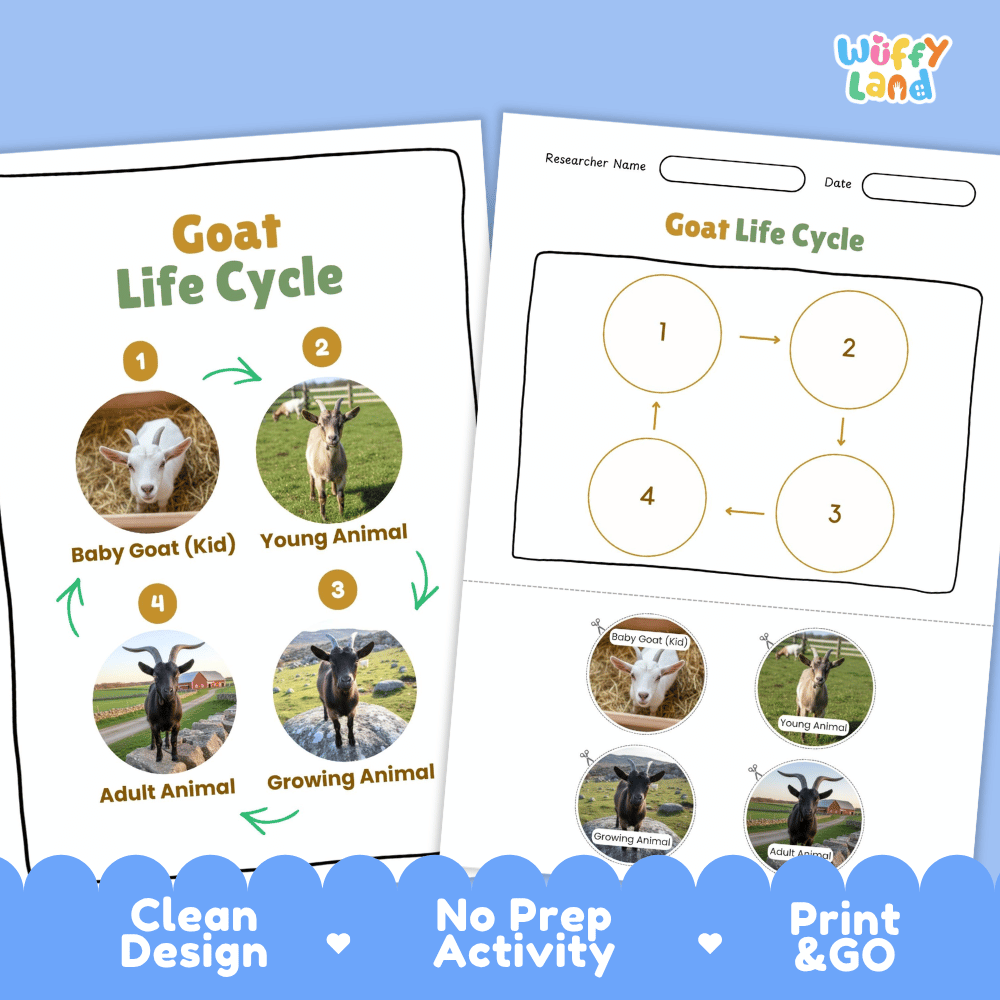 Goat Lifecycle Poster and Cut and Paste Activity Worksheets | Farm Animal Science Printables
