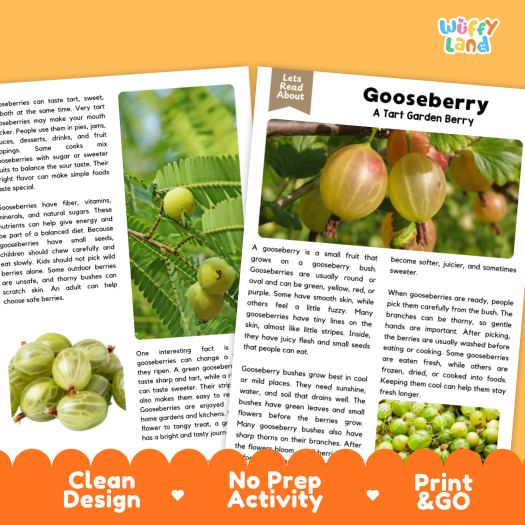Teacher answer key page showing complete question solutions for gooseberry reading comprehension practice