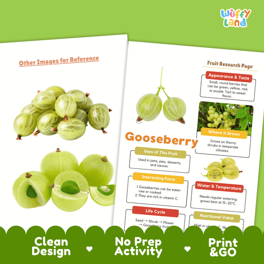 Gooseberry Fruit Research Project Science Worksheet Fact Sheet Activity
