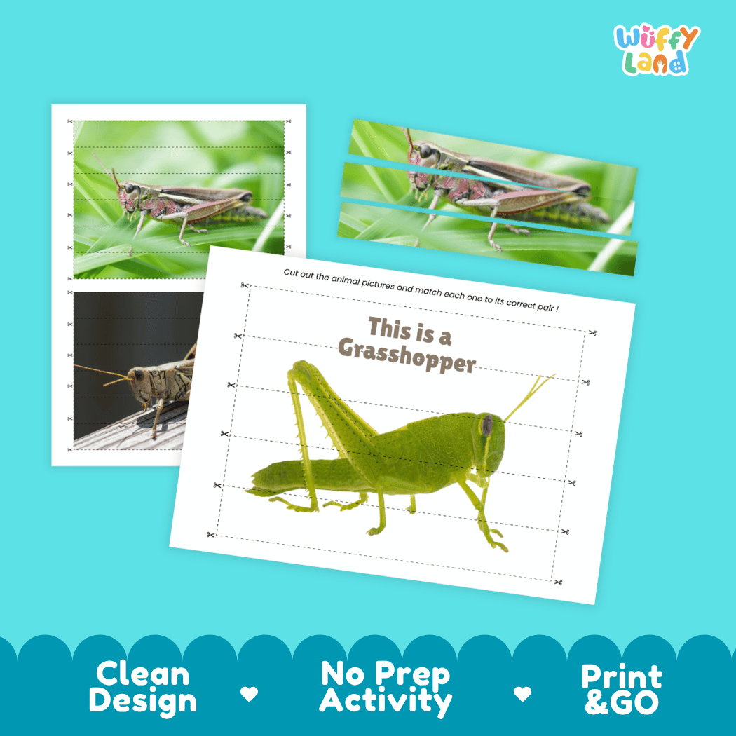 Grasshopper Cut and Match Activity Printables Worksheets