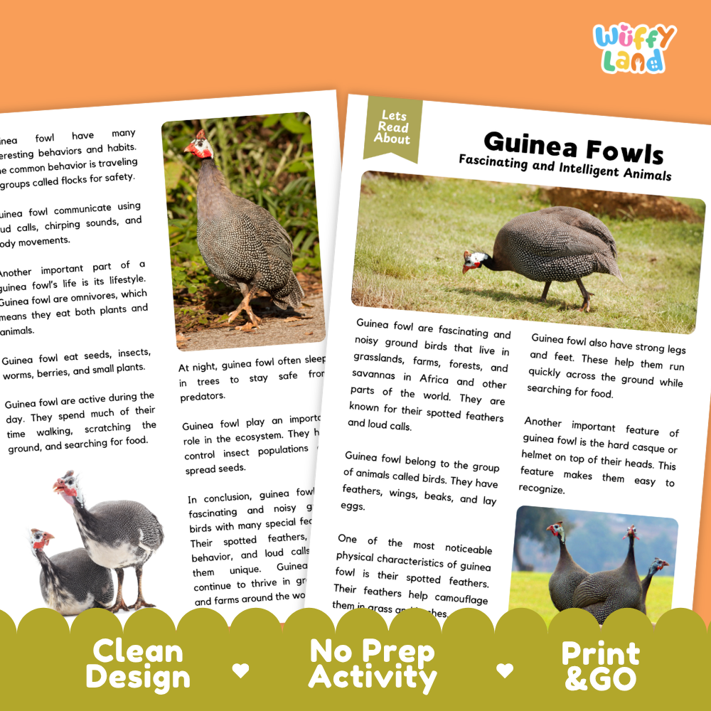 Guinea Fowl Reading Passage and Comprehension Questions Worksheets