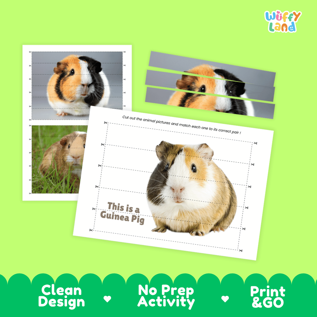 Guinea Pig Cut and Match Activity Worksheets | Pet Animal Puzzle Printables