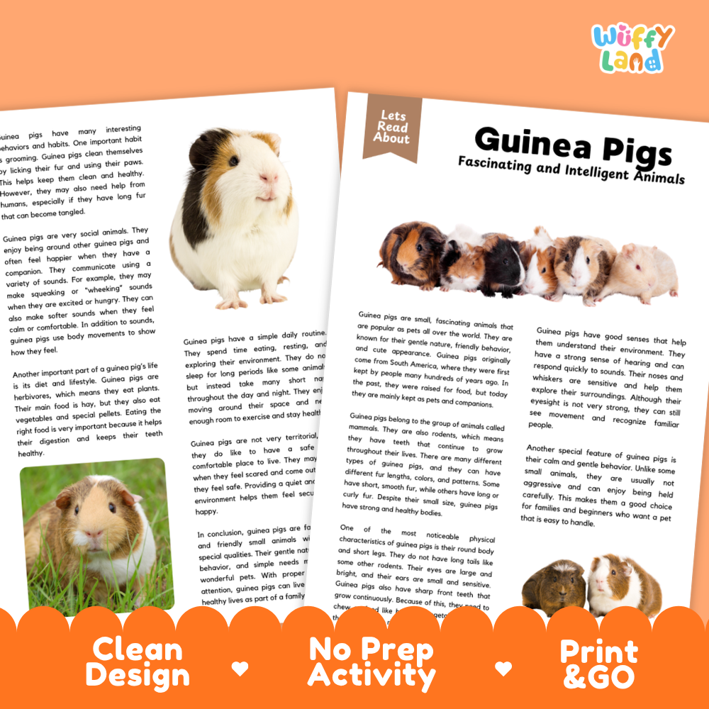 Guinea Pig Reading Passage and Comprehension Questions Worksheets