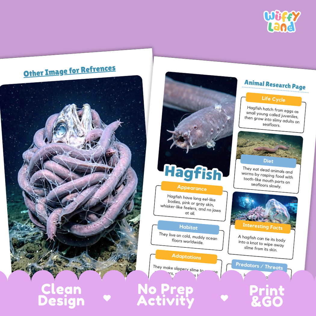 Two printed educational activity sheets about hagfish displayed on a purple background. The left sheet shows a large hagfish reference image with the text 'Other Image for References.