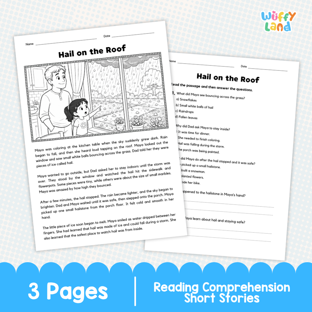 Hail on the Roof Reading Comprehension Passage and Questions Worksheets