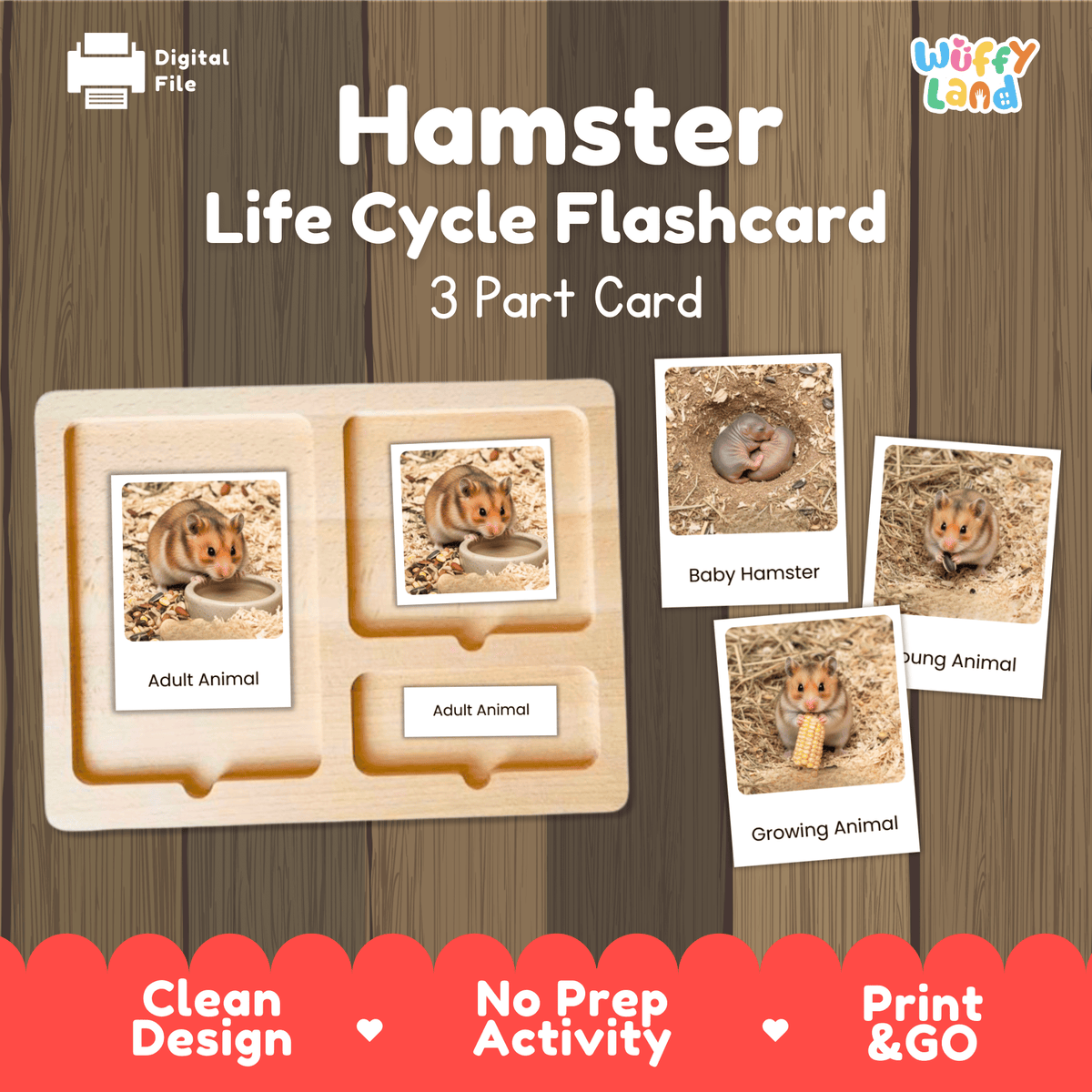 Montessori 3-part photo cards for hamster life cycle shown on wooden tray paired with animal research report worksheets and reference photo page