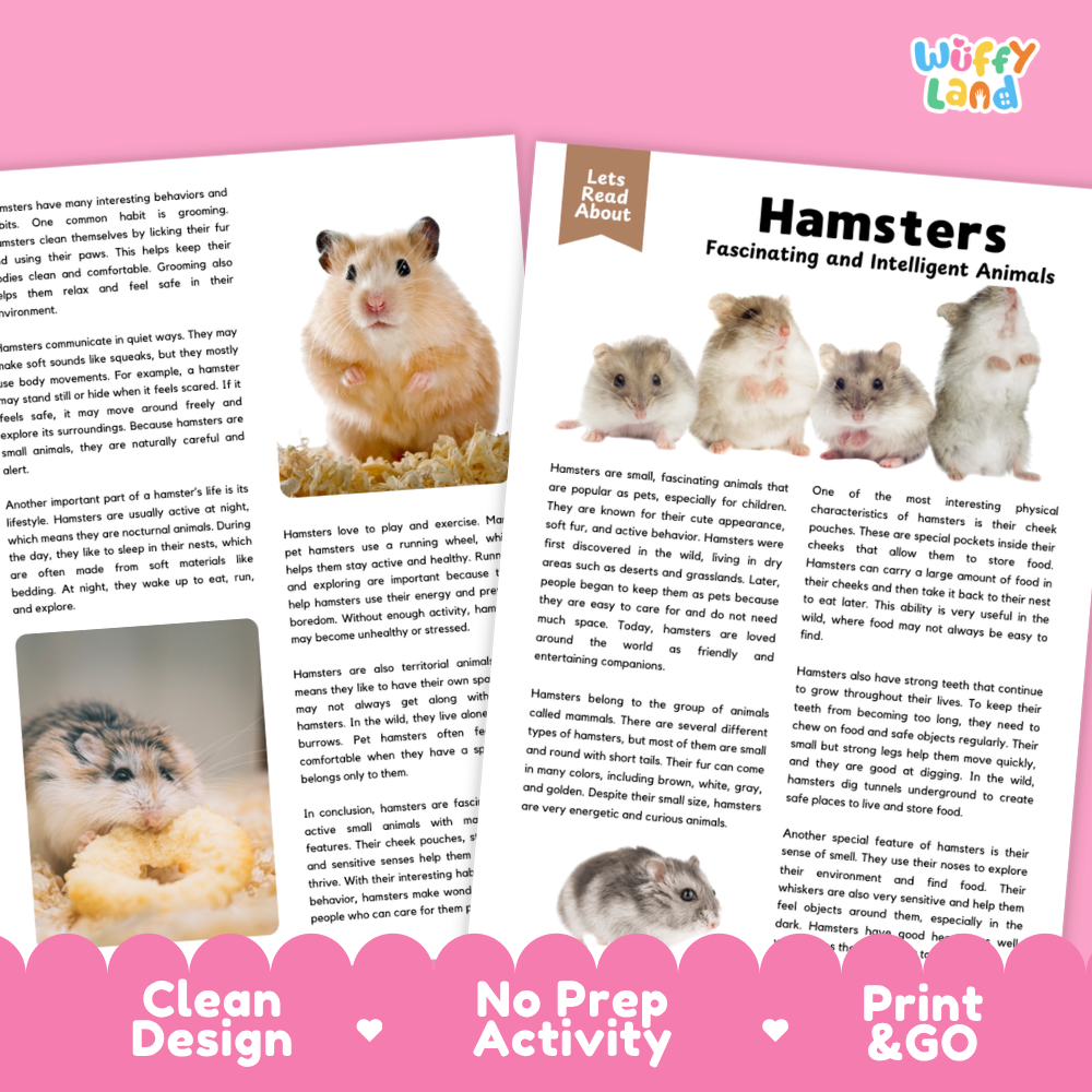 Hamsters Reading Passage and Comprehension Questions Worksheets