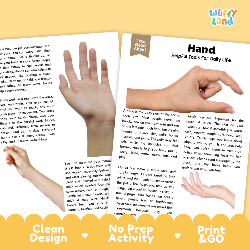 Teacher answer key page showing complete question solutions for Hand human body reading comprehension practice