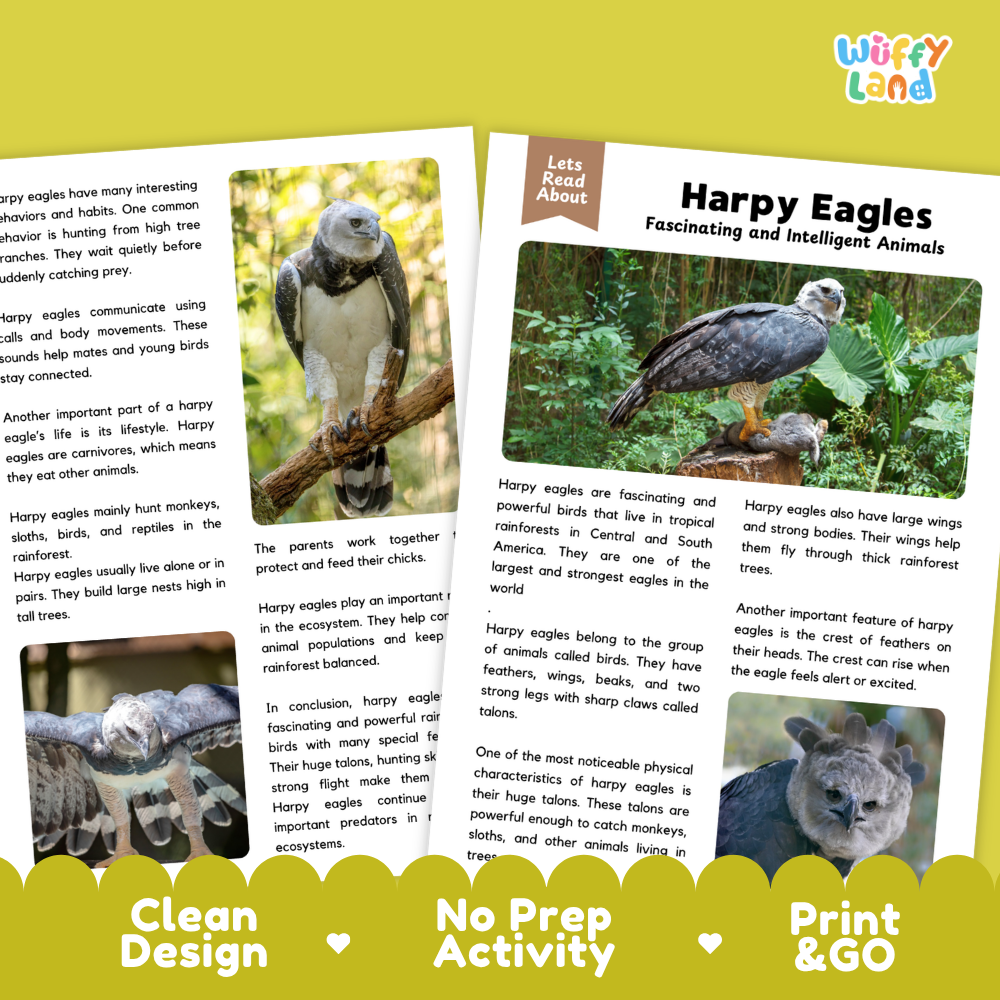 Educational activity sheet about harpy eagles, featuring three photo inserts of eagles in natural settings, text descriptions, and a yellow banner at the bottom that reads 'Wiffy Land' and 'Let's Read Loud!'.