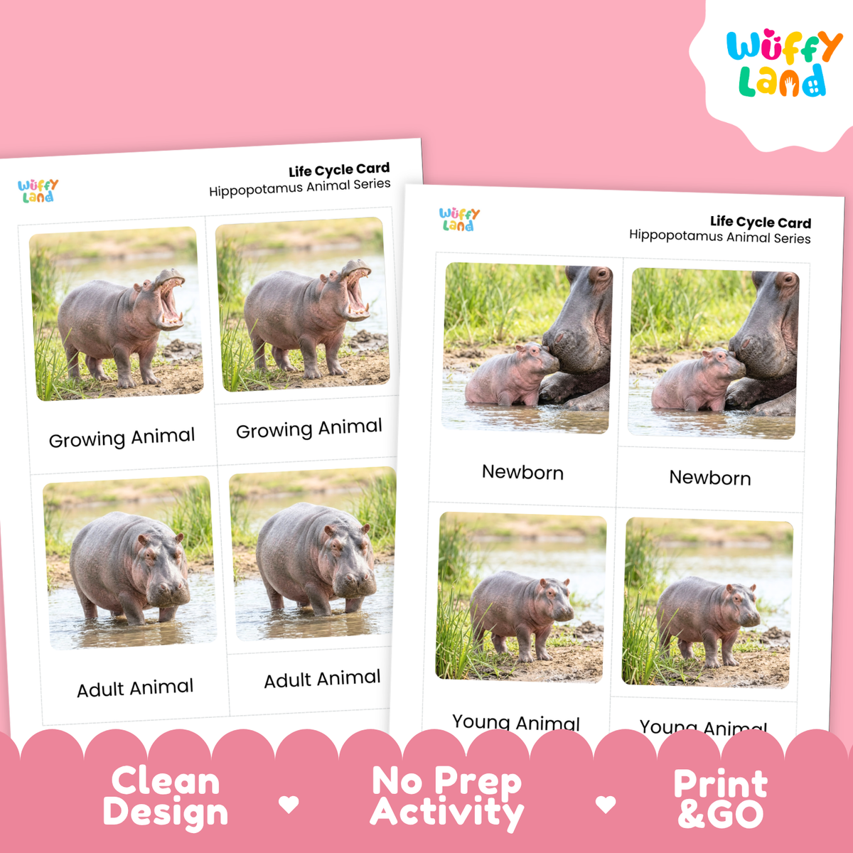 Two printed hippopotamus life cycle cards shown on a pink background, with the Wiffy Land logo in the top right and marketing text along the bottom: Clean Design, No Prep Activity, Print & Go.